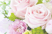 ピンク色のバラの装花