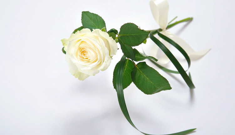 直葬 直葬のマナー 葬儀 葬式 家族葬なら日比谷花壇のお葬式