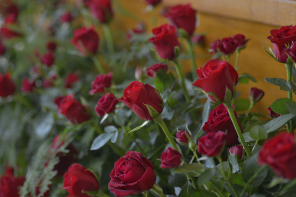 実例1 葬儀 葬式 家族葬なら日比谷花壇のお葬式